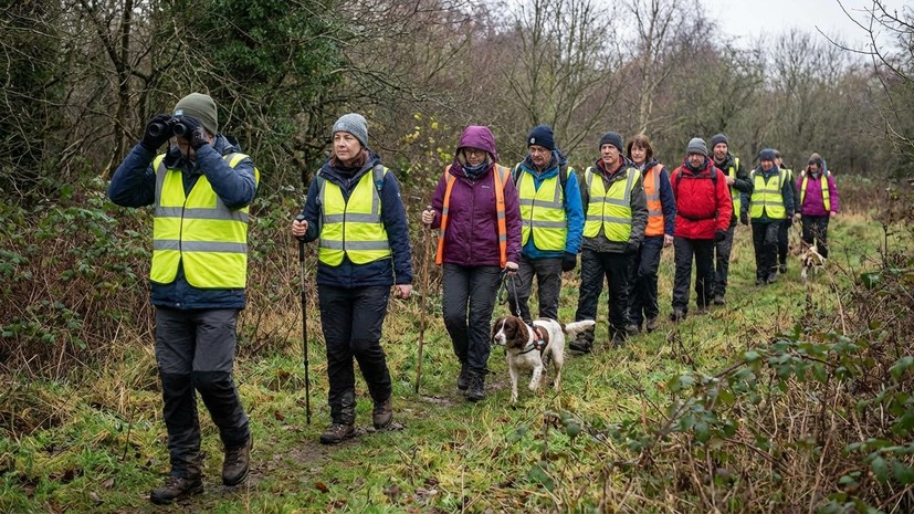 Спасатель рассказал об особенностях работы волонтёров при поиске пропавших людей