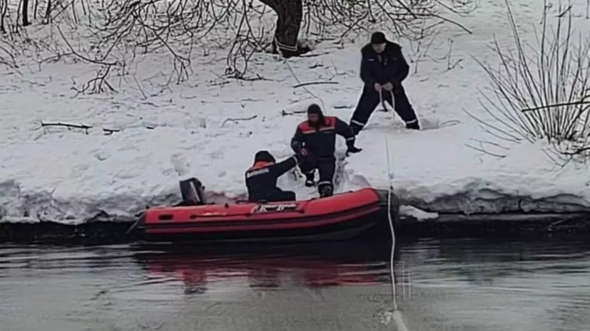 СК раскрыл подробности трагедии с утонувшими в Звенигороде детьми