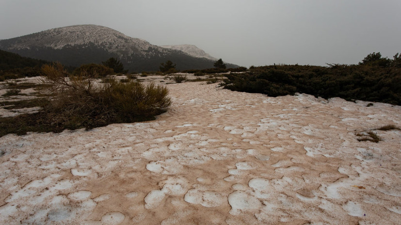 Климатолог Юлкин рассказал о последствиях выпадения снега в Сахаре