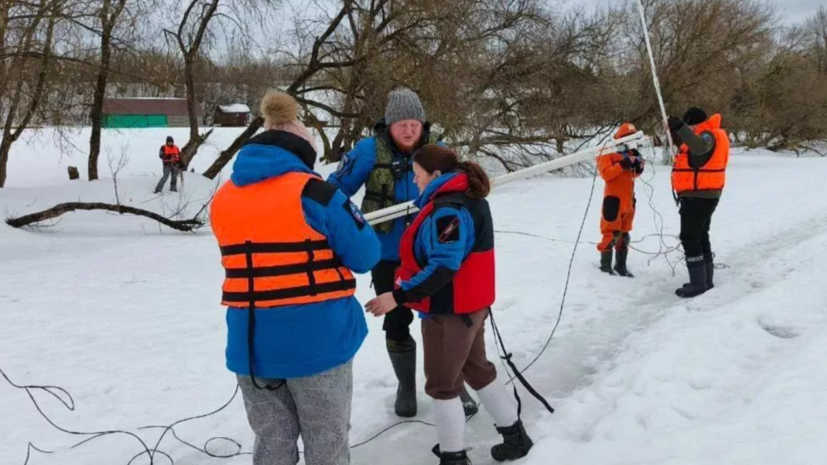 В МЧС рассказали о колоссальной работе спасателей при поиске детей в Звенигороде