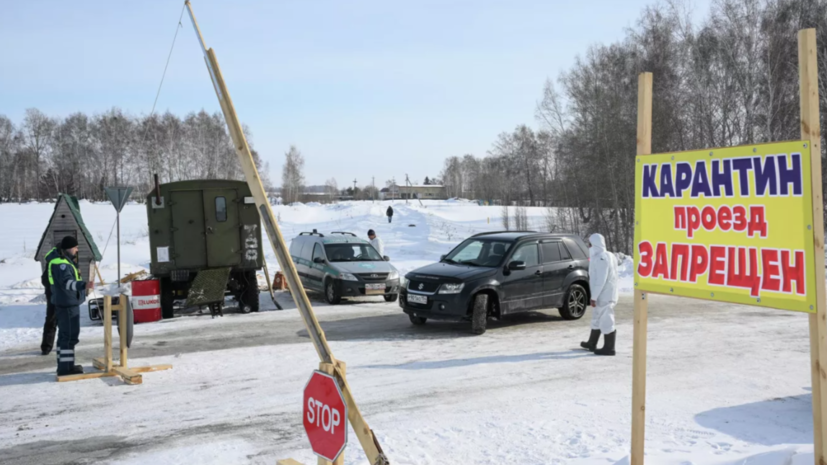 Песков: Минсельхоз координирует действия по падежу скота в Новосибирской области