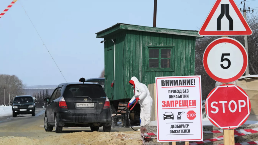 Лишившиеся скота из-за пастереллёза в Новосибирской области получат выплаты