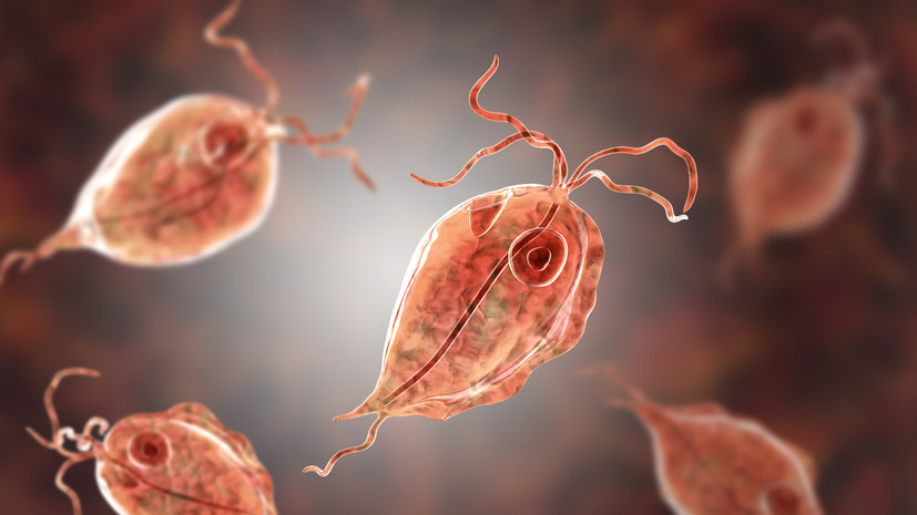 Врач: весной может наблюдаться увеличение количества случаев кишечных инфекций