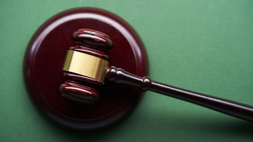 РИА Новости: дело в отношении иноагента Эйдельман вернули в суд