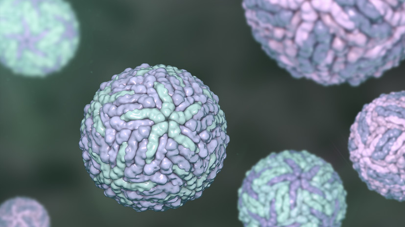 Биолог Обласова: клещевой энцефалит можно принять за ОРВИ