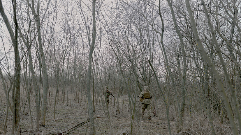 «Украинская правда»: США требуют вывода ВСУ из Донбасса