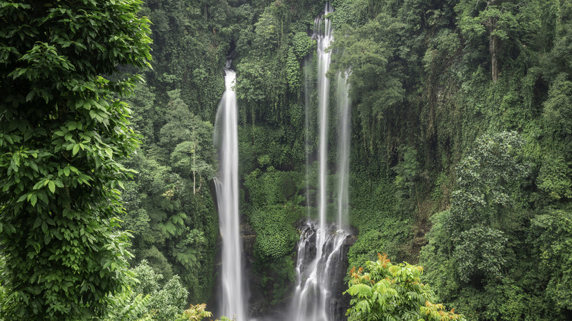 Россиянка на Бали получила болезненную сыпь после контакта с гусеницей