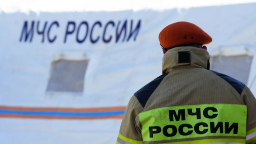 Куренков: МЧС может заняться координацией противоминной деятельности