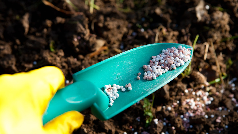 Российские аграрии просят Минсельхоз снизить цены на удобрения