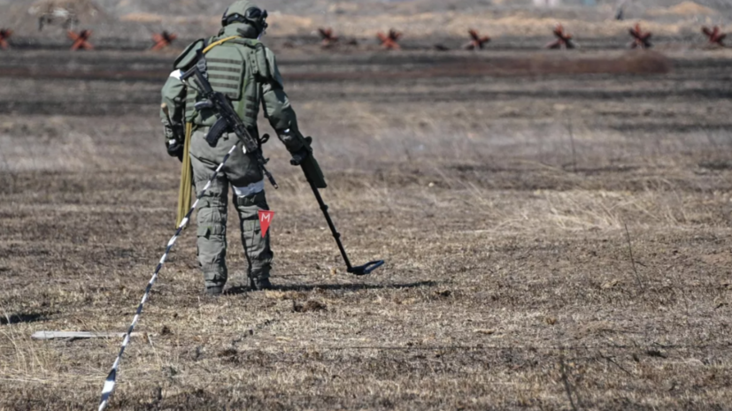 В Калининградской области уничтожили шесть авиабомб времён войны