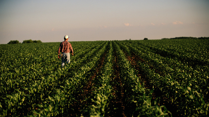 В России могут создать реестр фермеров, оказывающих услуги агротуризма