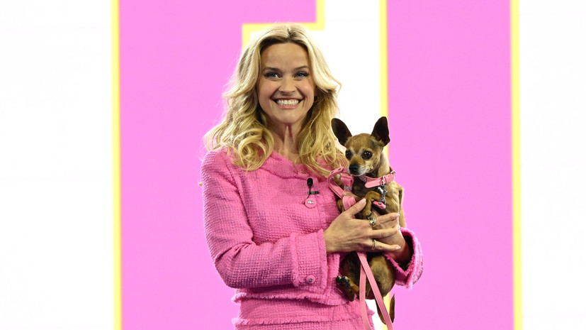 Риз Уизерспун подтвердила работу над третьим фильмом «Блондинка в законе»