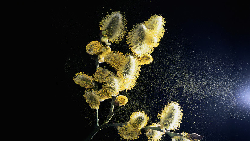 Жителям Москвы рассказали о погоде на Вербное воскресенье