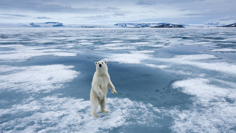 Академик Клименко: резкие изменения стали постоянным атрибутом современного климата