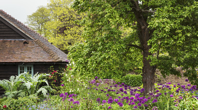 Адвокат Иванова рассказала, как проверить дачу перед покупкой