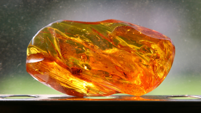 В Калининградской области пресекли нелегальный промысел янтаря