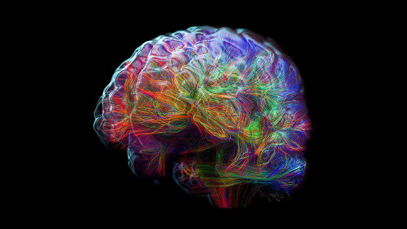 Психолог Баленко рассказала о пользе «здорового хаоса» для продуктивности мозга