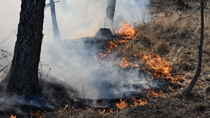 Сезон лесных пожаров в нынешнем году завершится только в октябре