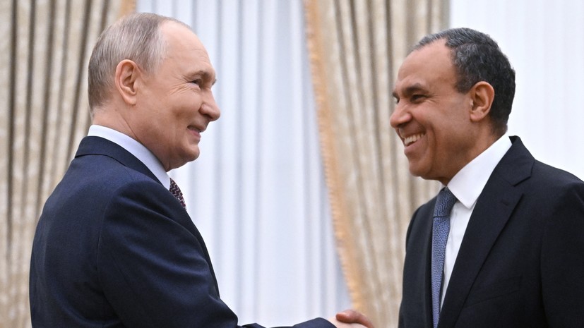 Путин и глава МИД Египта начали встречу в Кремле