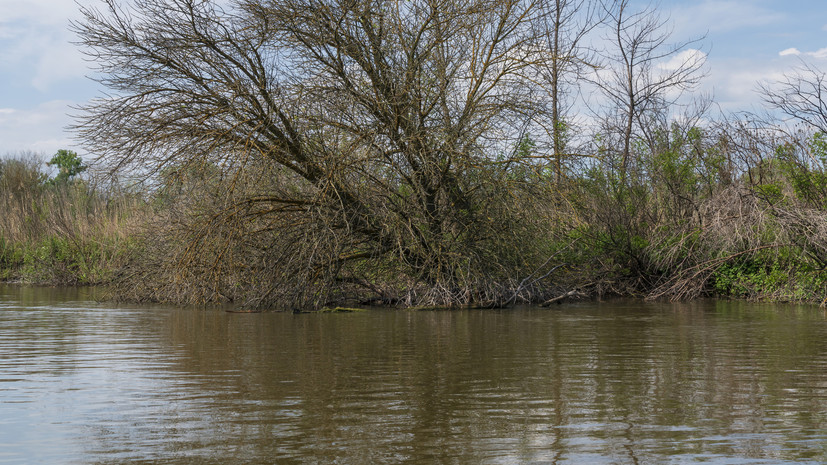В Суздале при подъёме воды в реке Каменке получил повреждения мост