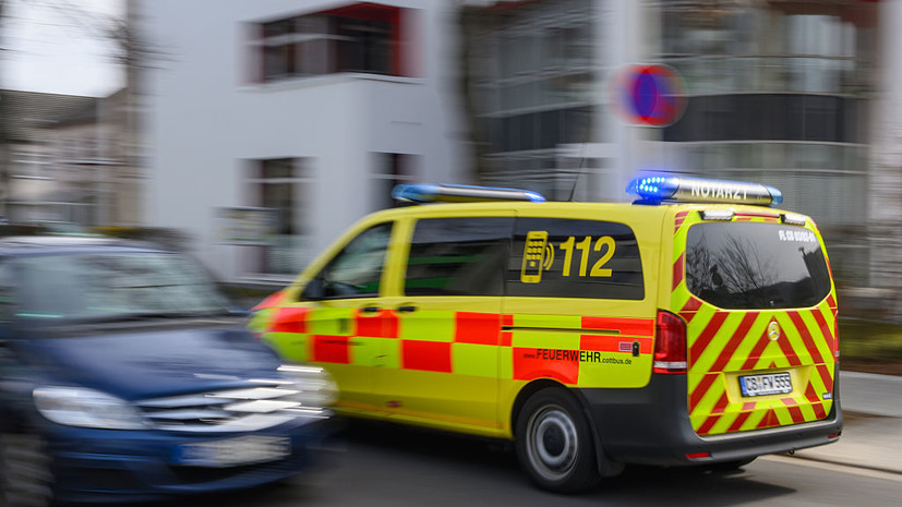 Welt: в ФРГ при падении дерева на людей погибли три человека, включая ребёнка