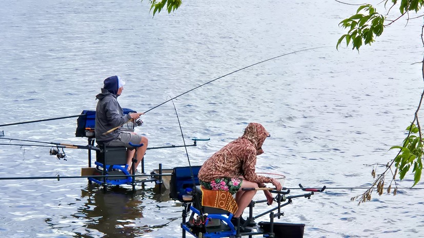 Россиянам рассказали, как в 2026 году будет регулироваться любительская рыбалка
