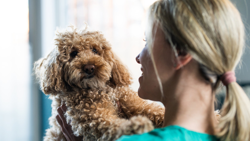 Кинолог Голубев пояснил, как распознать аллергию у собаки