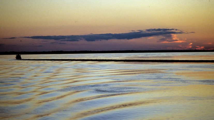 Учёный Болгов рассказал о развороте рек Сибири к южным регионам