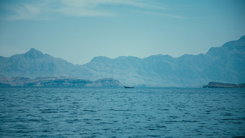 AP: Иран и Оман будут взимать плату за проход через Ормузский пролив