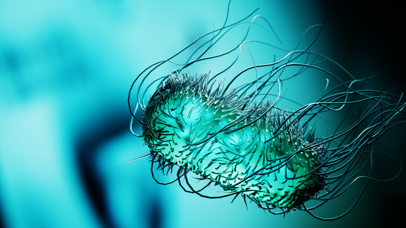 RT: во Владимирской области от острой кишечной инфекции пострадали 200 человек