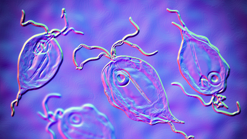 В Муроме зафиксировали 106 случаев кишечной инфекции, 50 человек в больнице