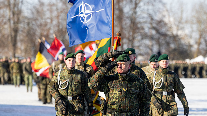 Трамп: в НАТО ничего не понимают, пока на альянс не окажут давление