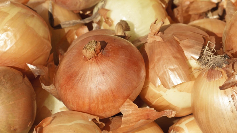 Россиянам рассказали, что за снятие шелухи с лука в магазине грозит штраф