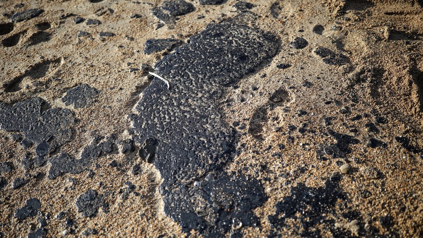 Более 200 птиц нашли погибшими в нефтепродуктах у побережья Анапы