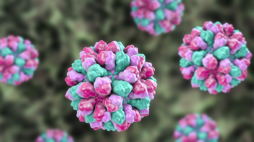 Роспотребнадзор проводит в Муроме обеззараживание воды из-за вспышки норовируса