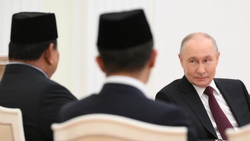 Путин назвал приоритетные сферы сотрудничества России и Индонезии