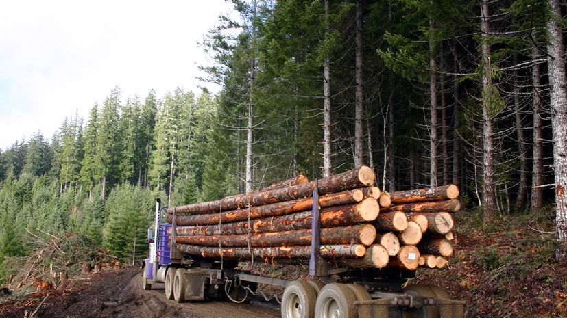 Лесному хозяйству Подмосковья передали 120 новых машин