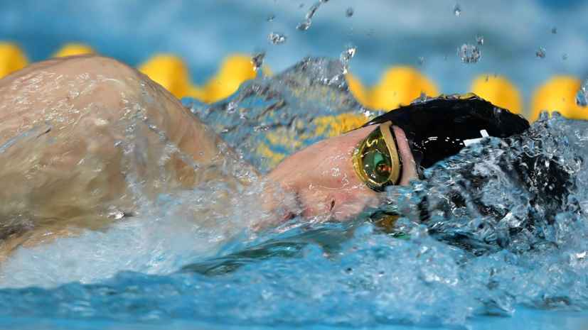 Мазепин: теперь Россия может проводить ЧМ и ЧЕ по водным видам спорта