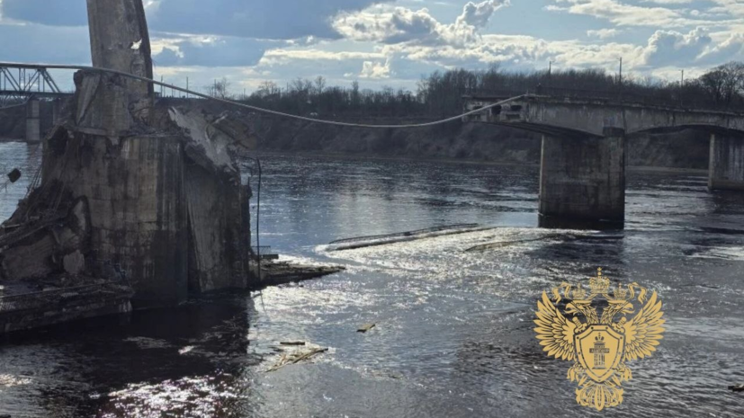В Ленинградской области обрушился аварийный пешеходный мост