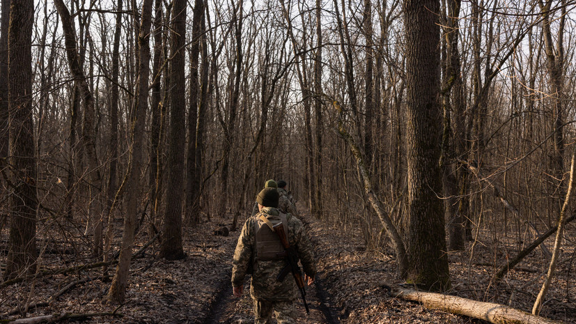 Мендель: окно для мира на Украине закроется через месяцы