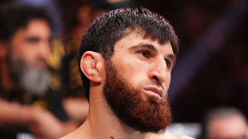 Олберг: Анкалаев заслуживает снова драться за пояс UFC