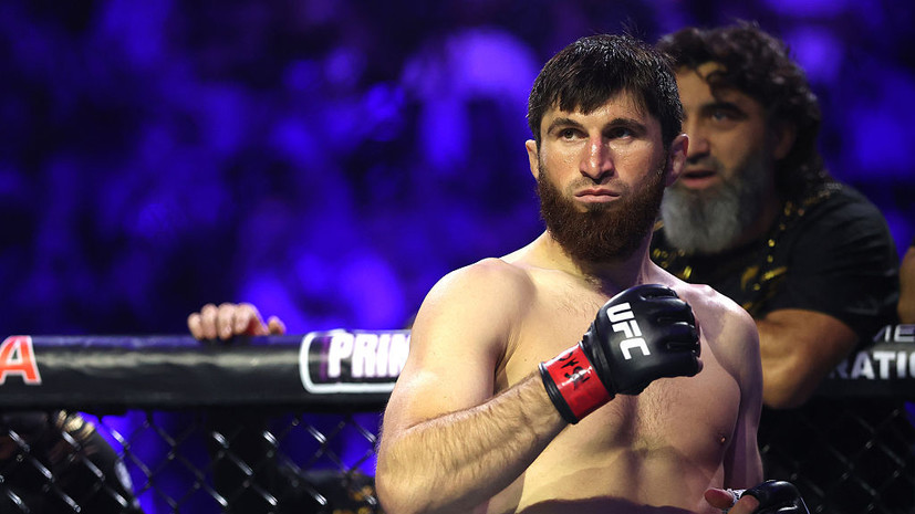 Анкалаев — о вызове Олберга: настоящий мужчина