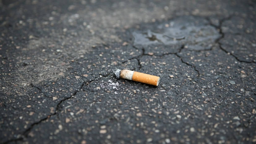 В ОП предупредили о штрафах за выброшенный из окна автомобиля окурок