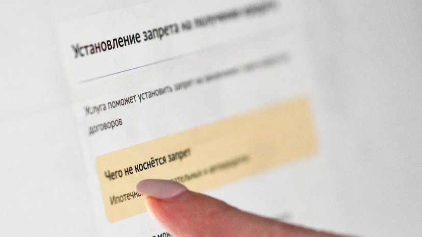 Юрист Хаминский посоветовал установить самозапрет на кредиты на Госуслугах