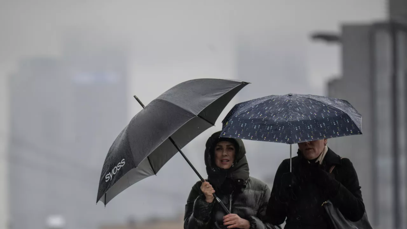 Синоптик Леус спрогнозировал кратковременные дожди в Москве