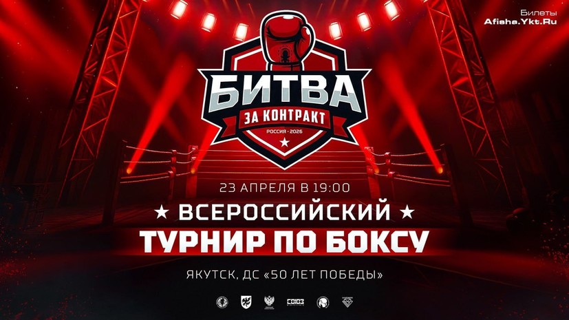 Федерация бокса России запускает проект «Битва за контракт»