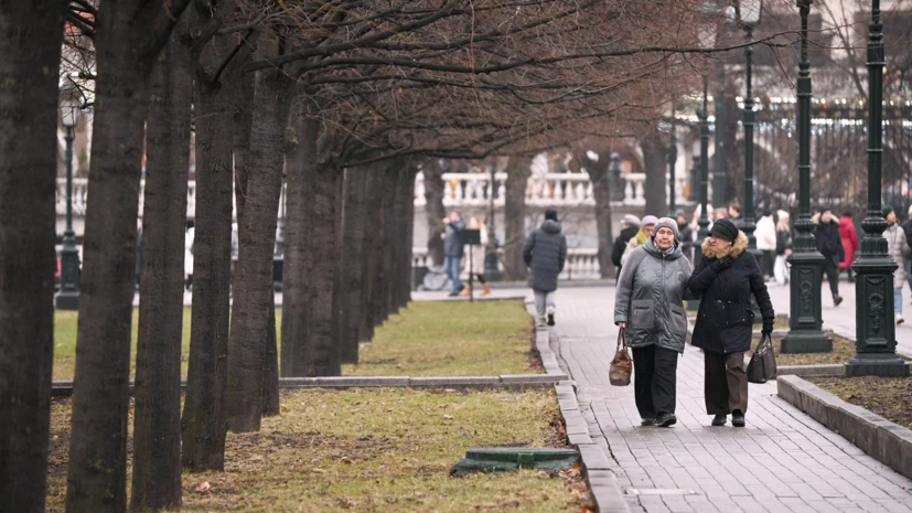 Метеоролог Позднякова рассказала о серьёзном похолодании в Москве и Подмосковье