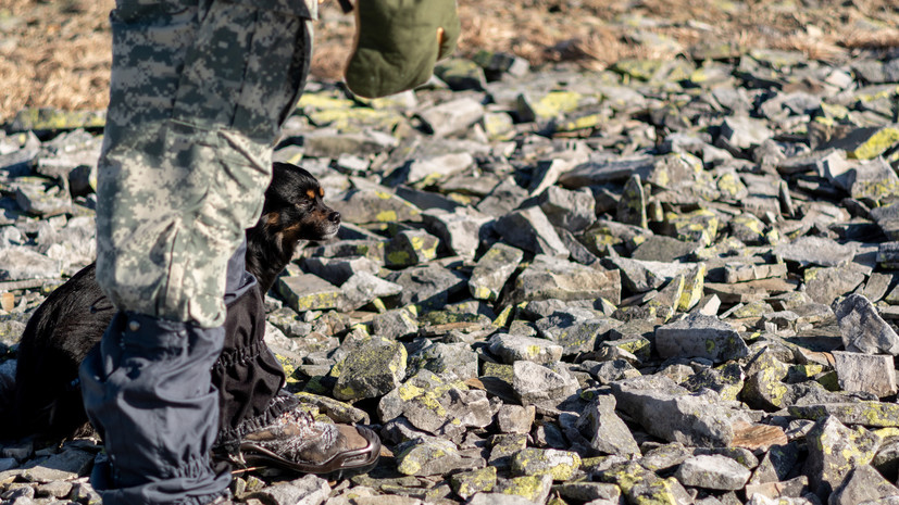 «СТРАНА.ua»: украинский пограничник запросил убежище в Румынии