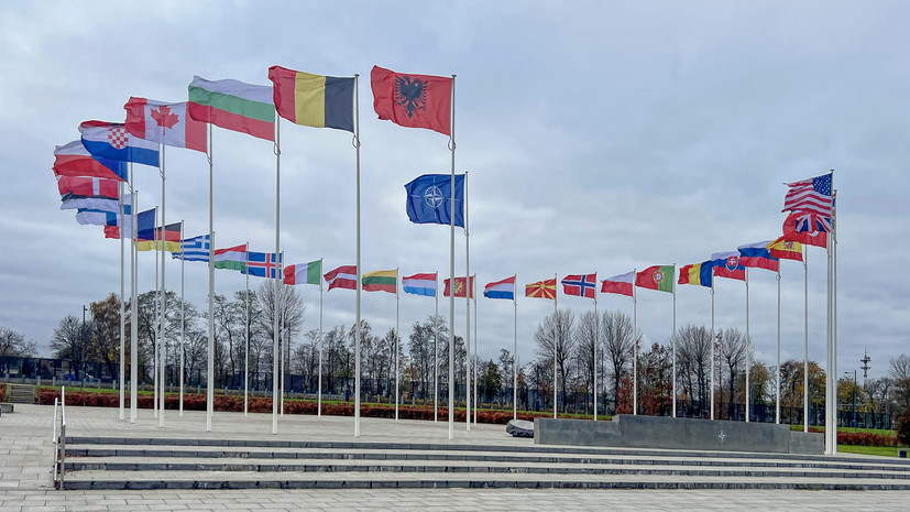 Политолог Фельдман: страны НАТО открыто показывают пренебрежение друг к другу