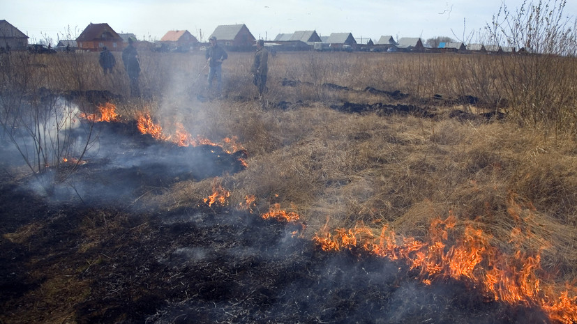 В ОП предупредили, что пал сухой травы может привести к штрафу до 3 млн рублей